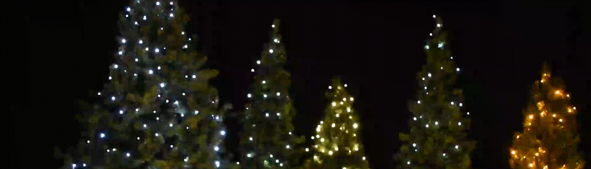 Panto Hero GIF